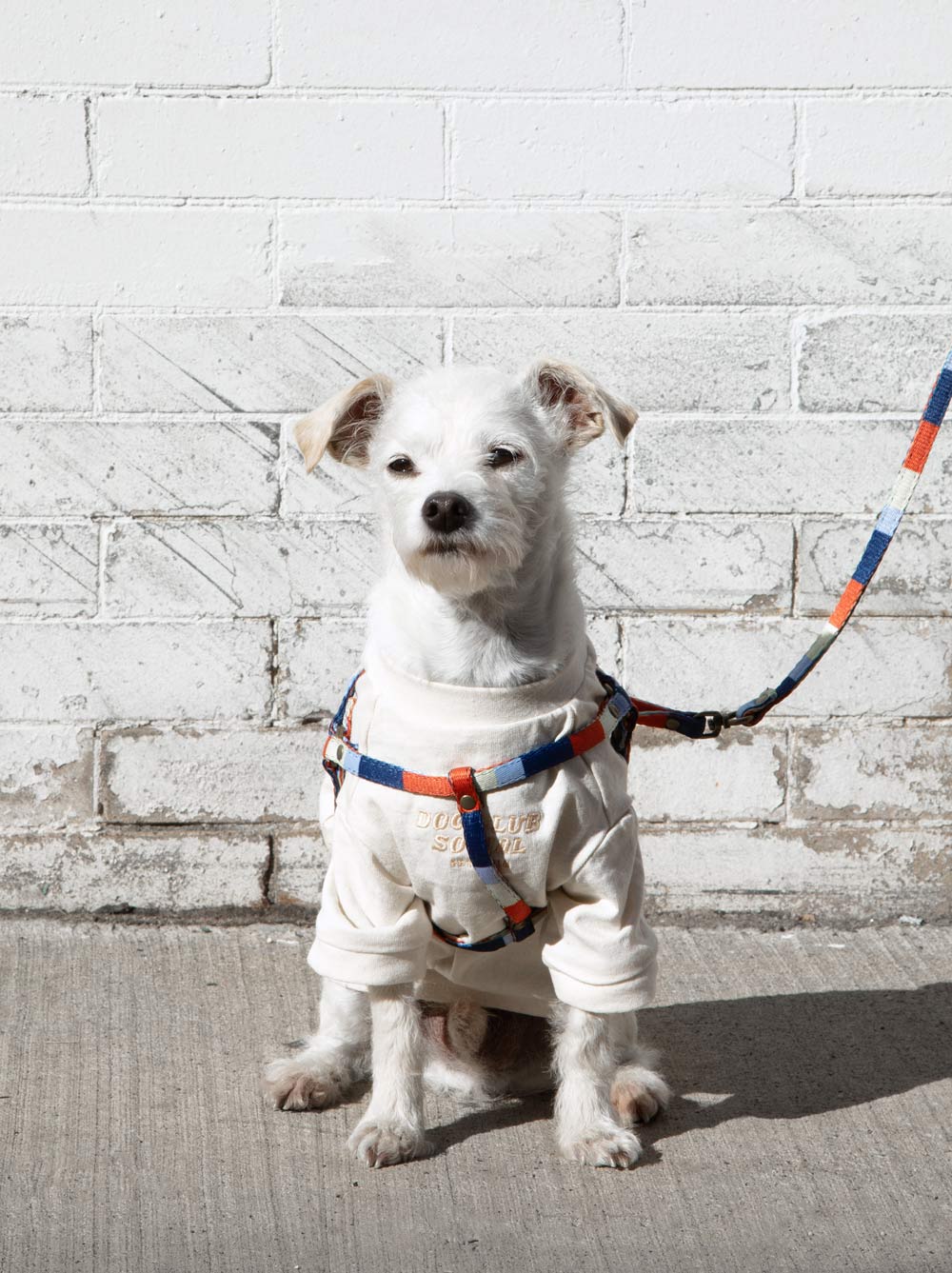 Retro All-In-One Harness Leash