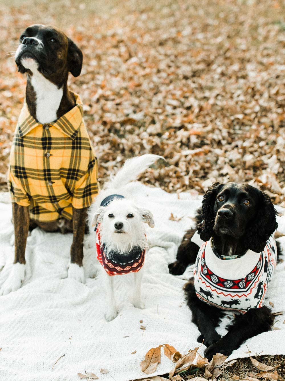 Campfire Flannel