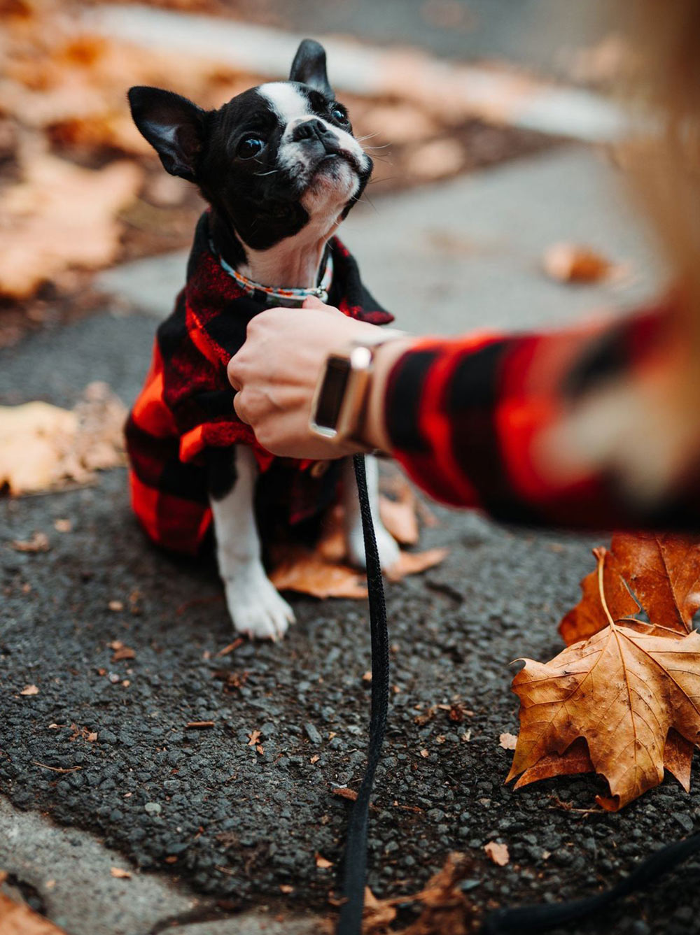 Great Plains Flannel