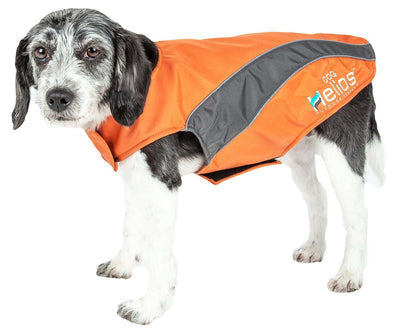 Dog clothing: Jackets, sweaters, Harnes. Raee Industries