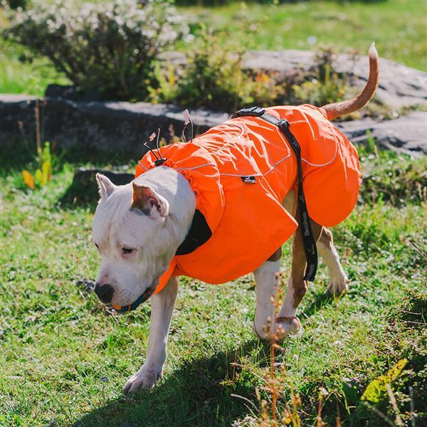 Waterproof dog clothing: Jackets, jackets with hoodies, sweaters, Harnes and coats. Raee Industries