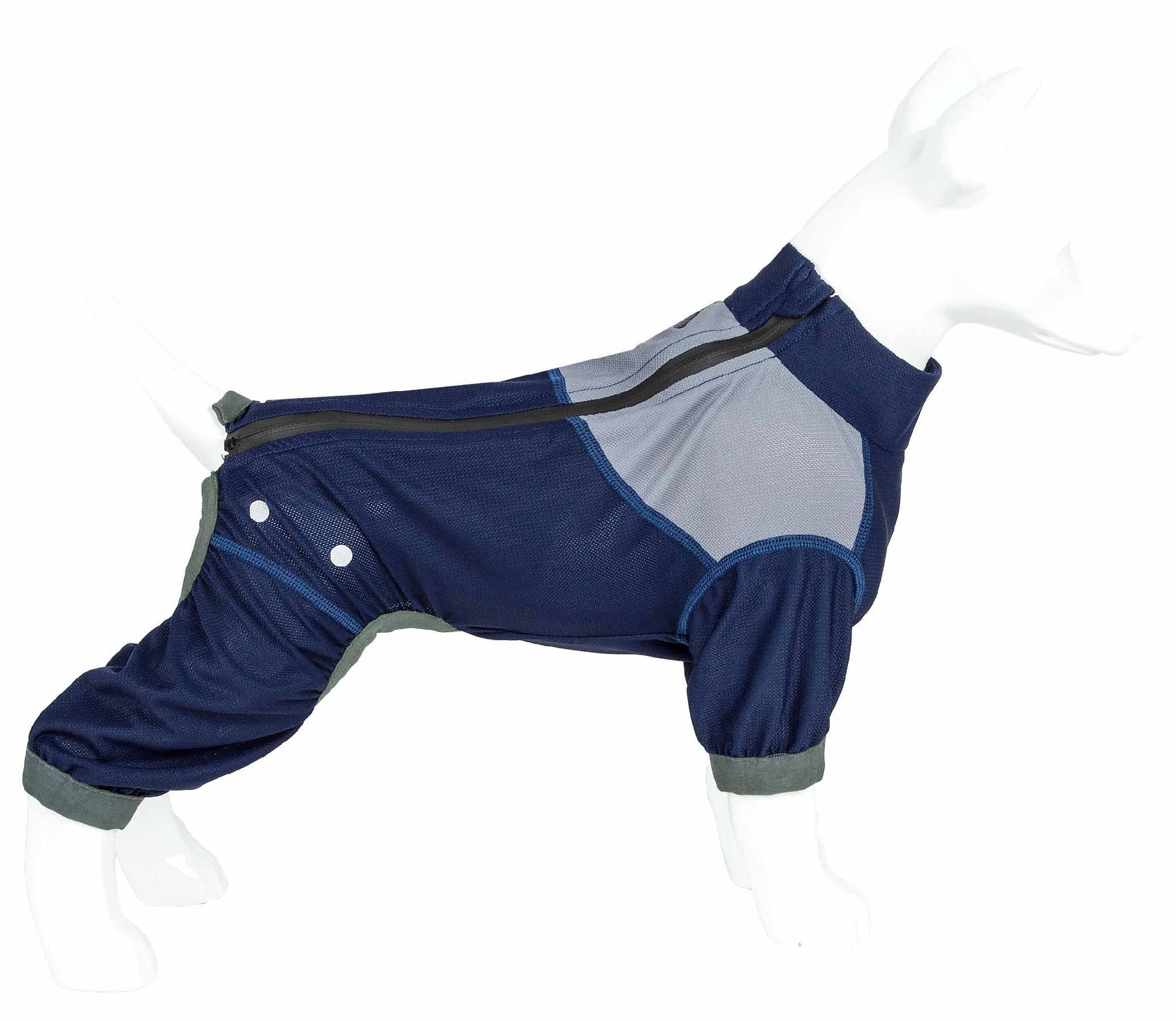 Waterproof dog clothing: Jackets, jackets with hoodies, sweaters, Harnes and coats. Raee Industries