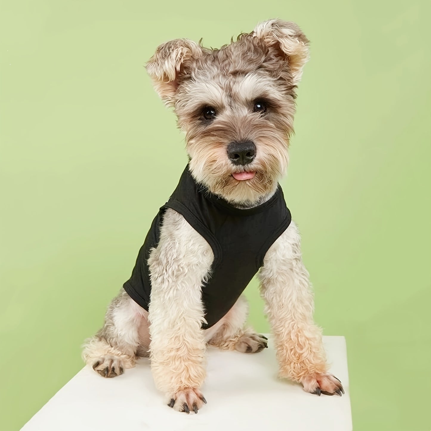 Waterproof dog clothing: Jackets, jackets with hoodies, sweaters, Harnes and coats. Raee Industries