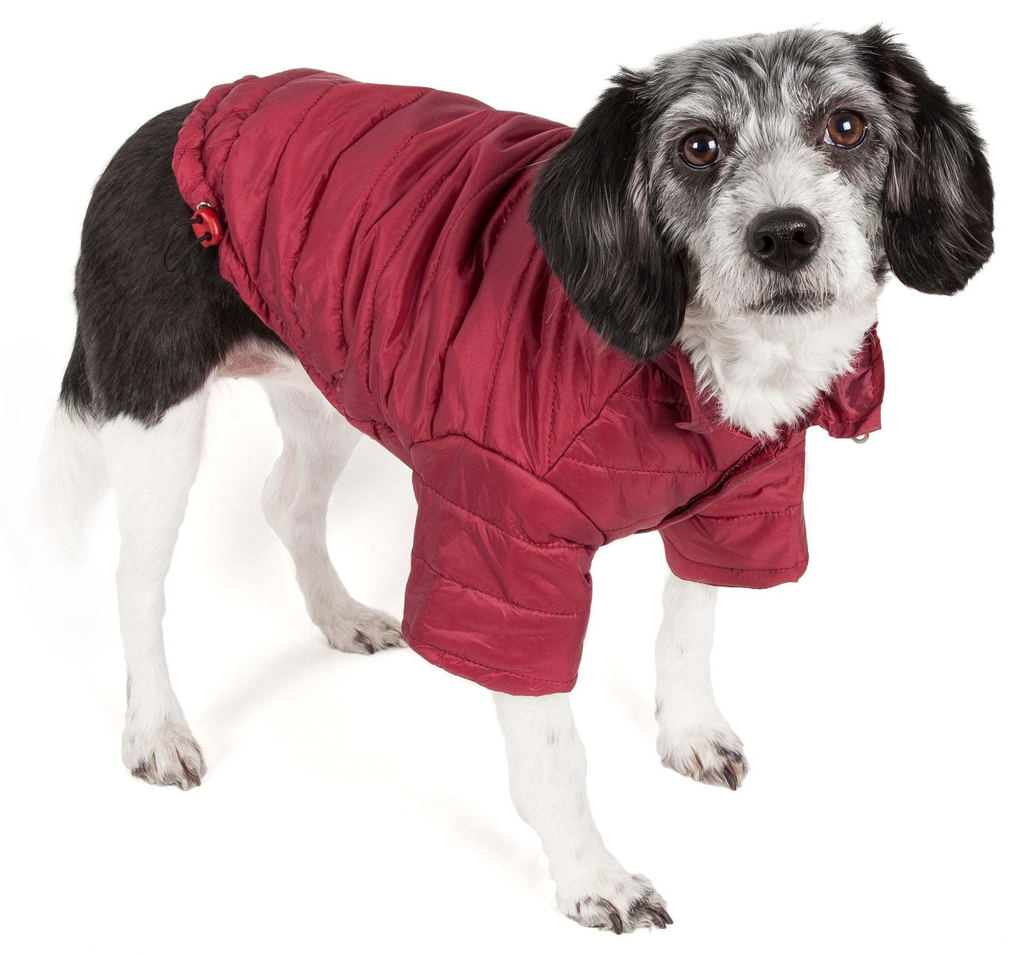 Lightweight Adjustable 'Sporty Avalanche' Pet Coat