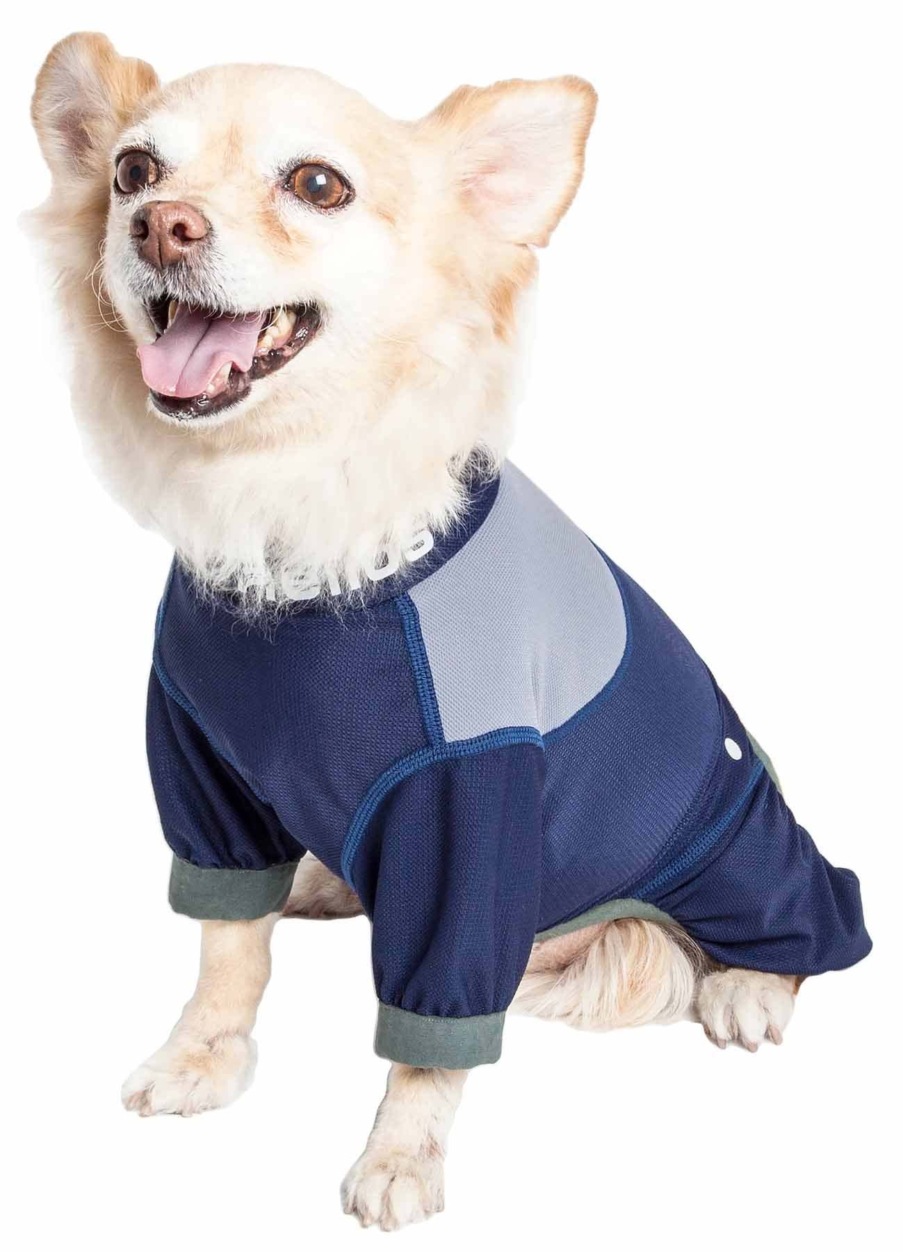 Waterproof dog clothing: Jackets, jackets with hoodies, sweaters, Harnes and coats. Raee Industries