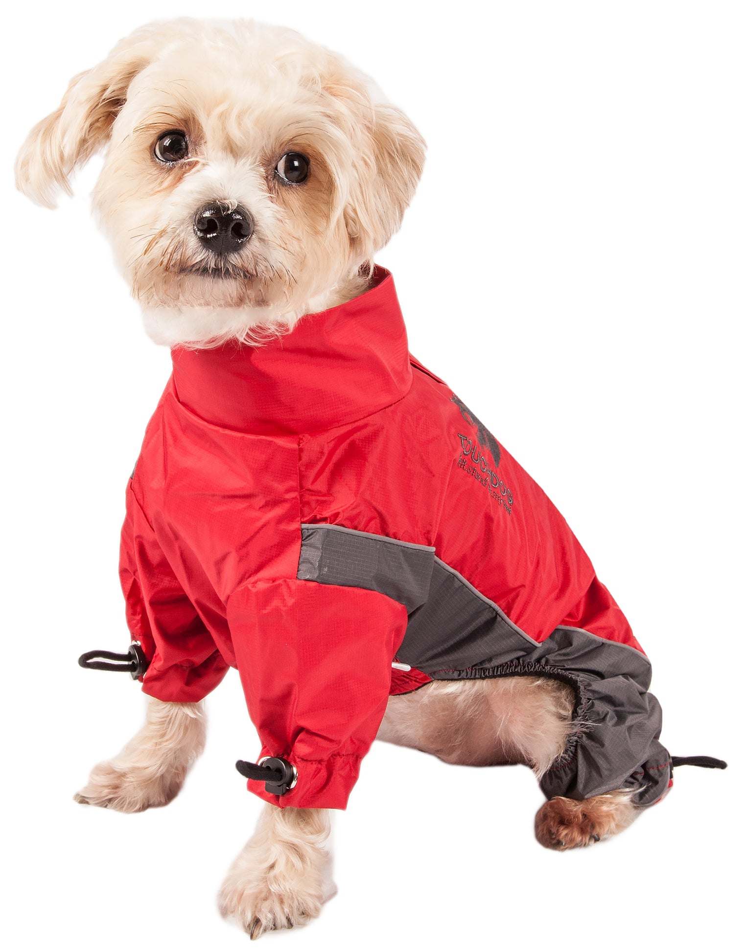 Waterproof dog clothing: Jackets, jackets with hoodies, sweaters, Harnes and coats. Raee Industries