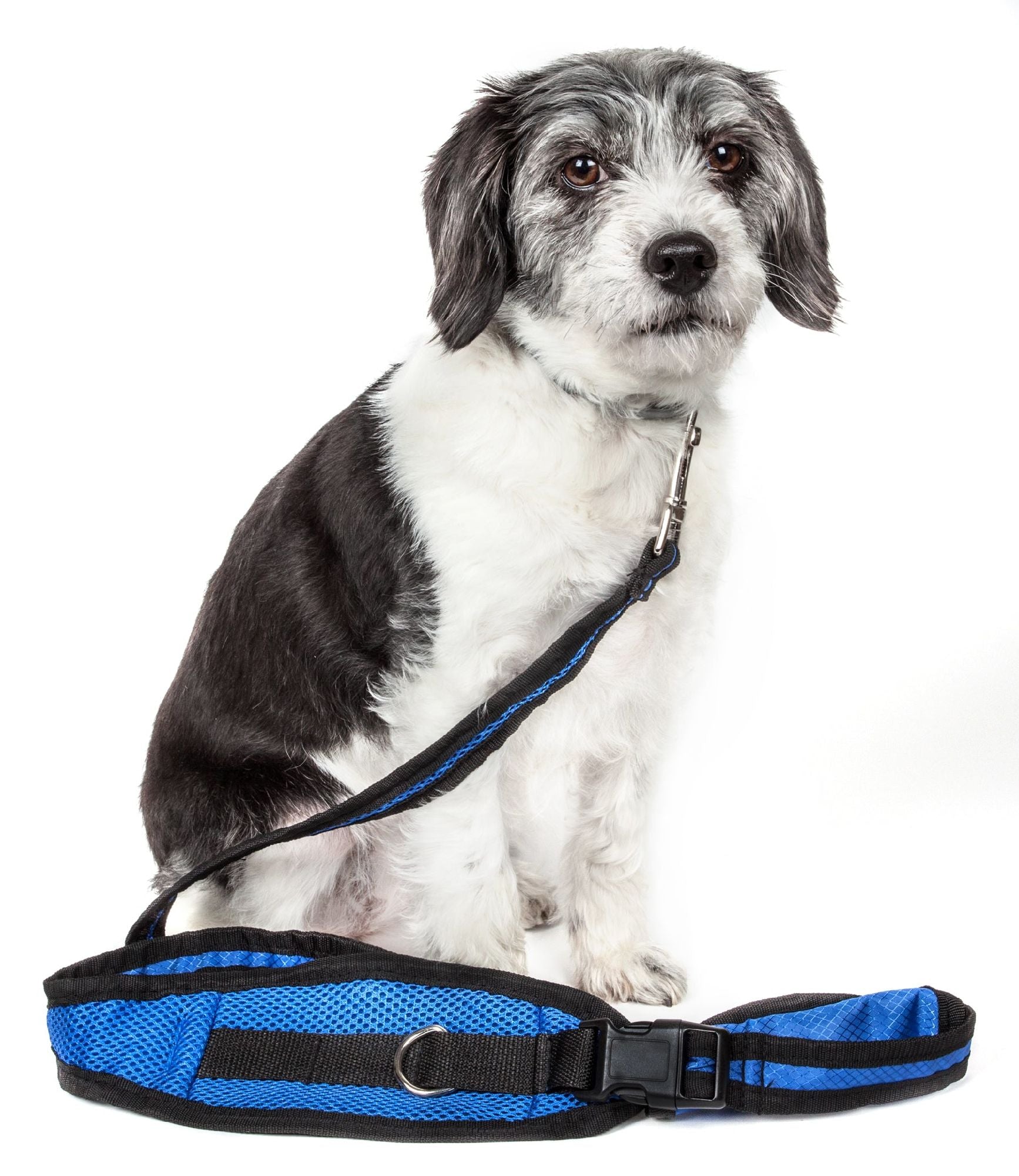 Pet Harness And Leash Set For small and large dogs & Cats; Adjustable No Pull Service Dog Vest Harness For Walking. Raee Industries