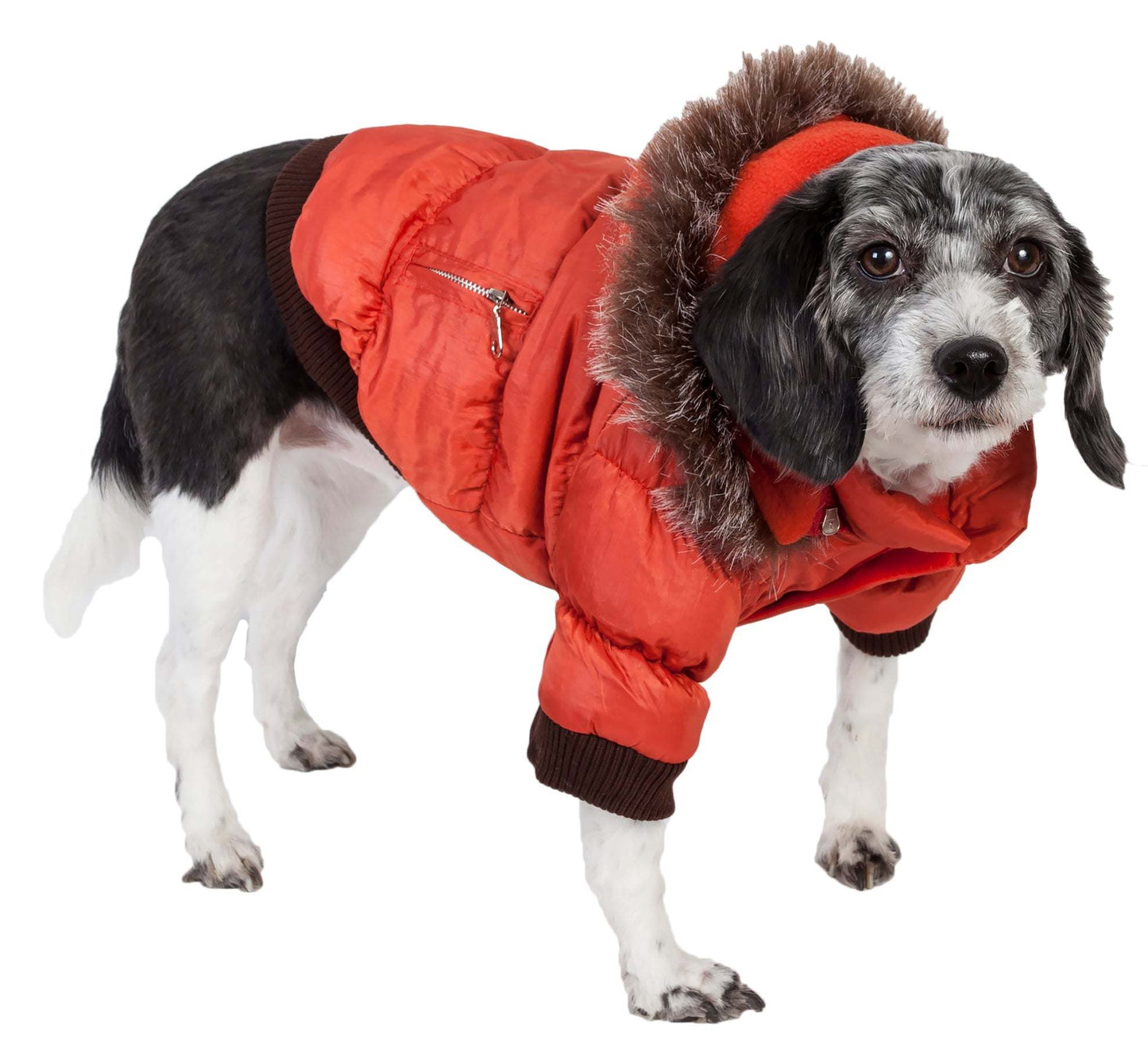 Metallic Fashion Pet Parka Coat