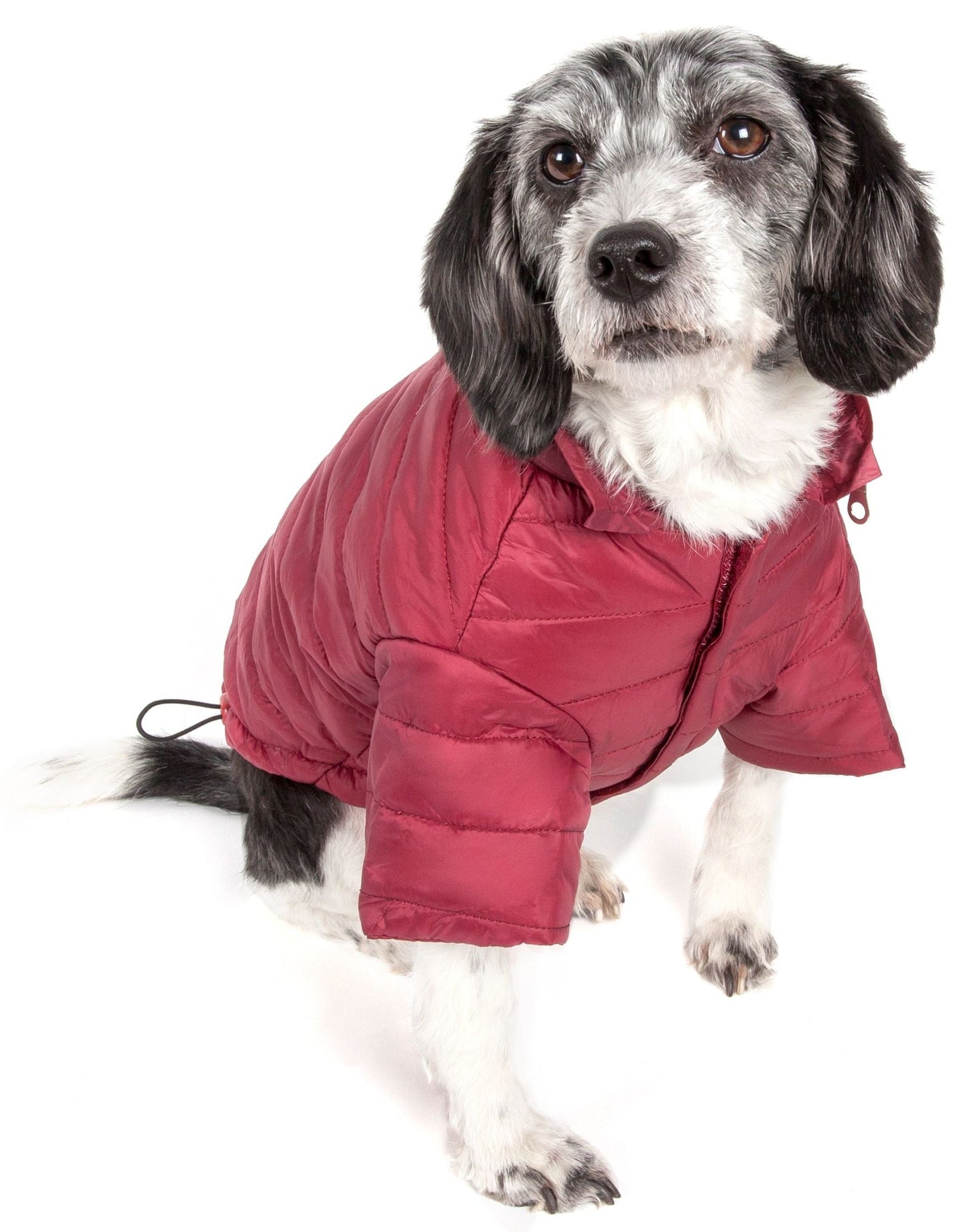 Lightweight Adjustable 'Sporty Avalanche' Pet Coat