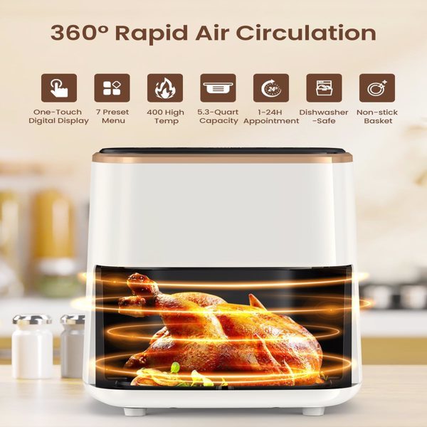 Kitchen Appliances: Air Fryer, Hand, Professional, Portable, Espresso, Cappuccino Blender. Raee-Industries 