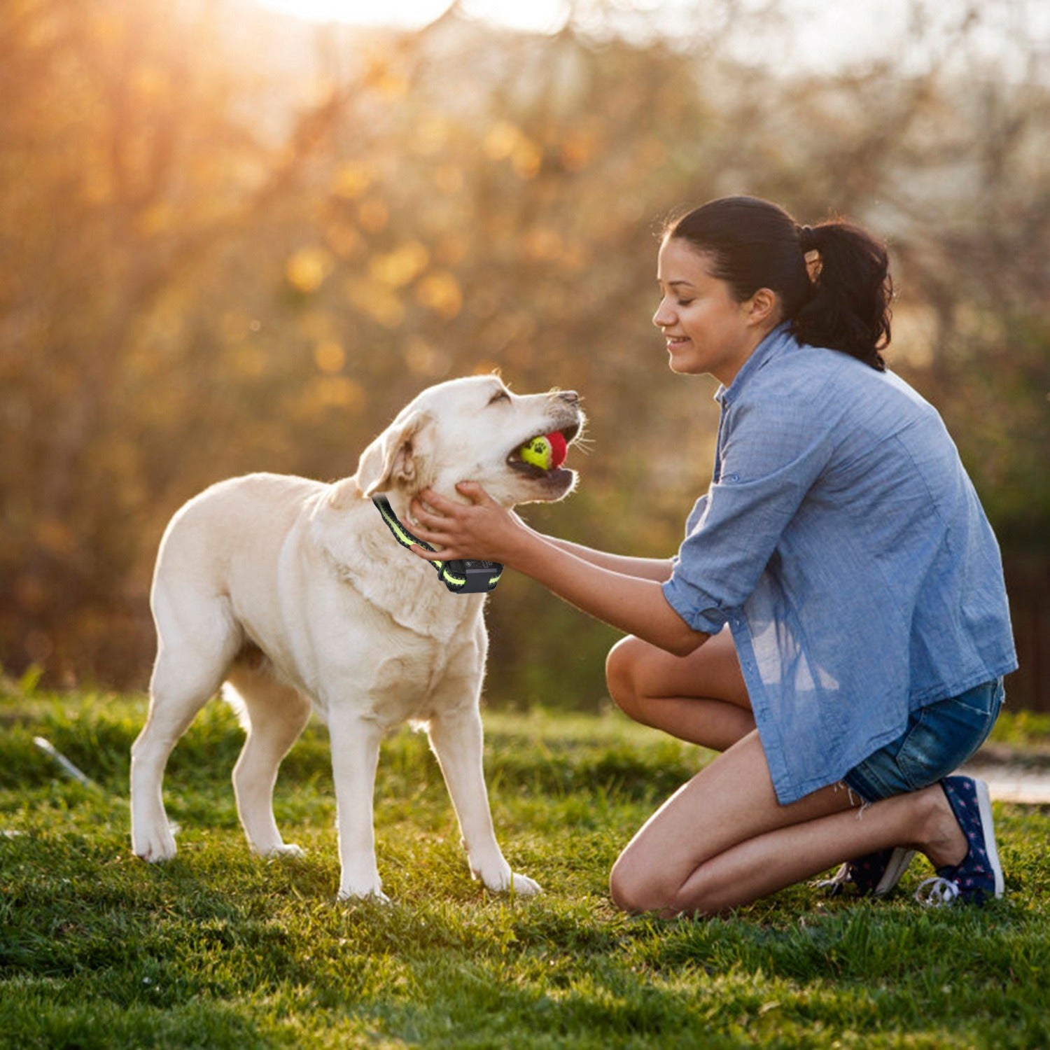 Waterproof Dog Trainer and Leash. Raee-Industries.