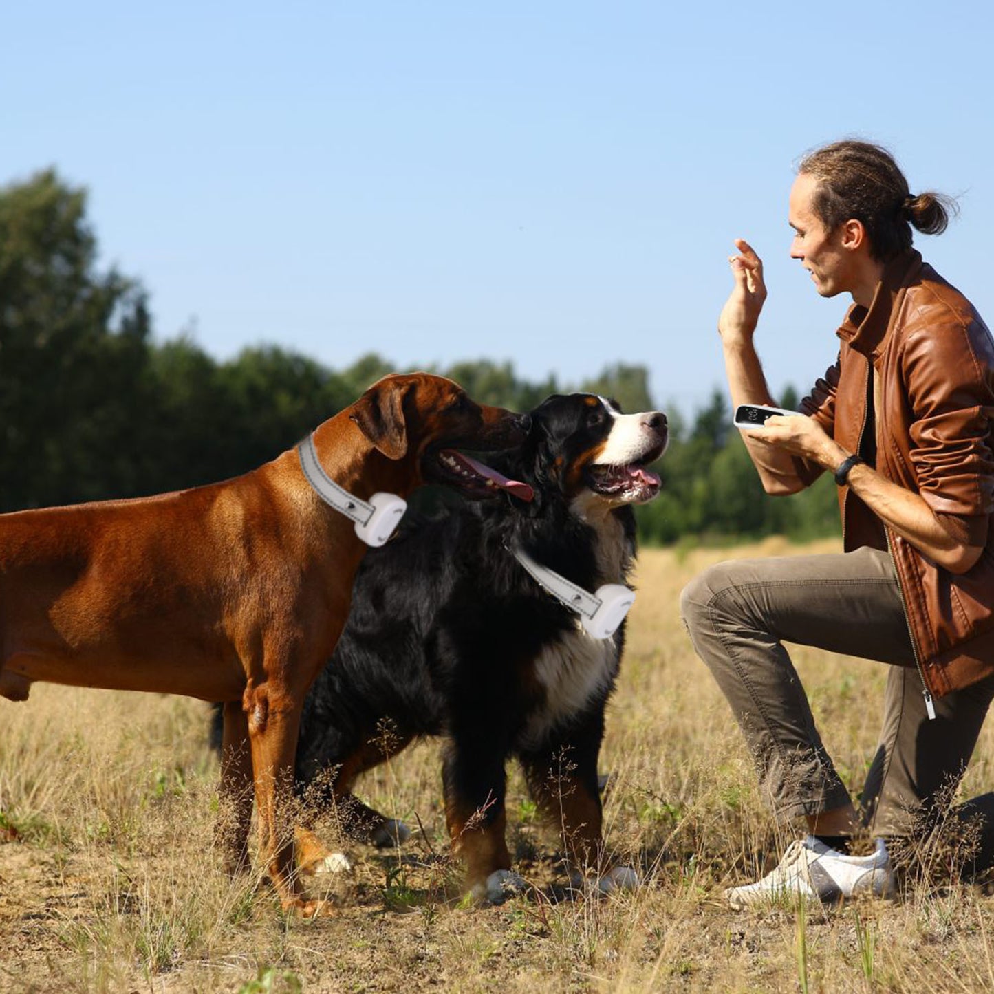 Waterproof Dog Trainer. Raee-Industries.