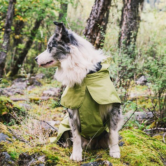 Waterproof dog clothing: Jackets, jackets with hoodies, sweaters, Harnes and coats. Raee Industries