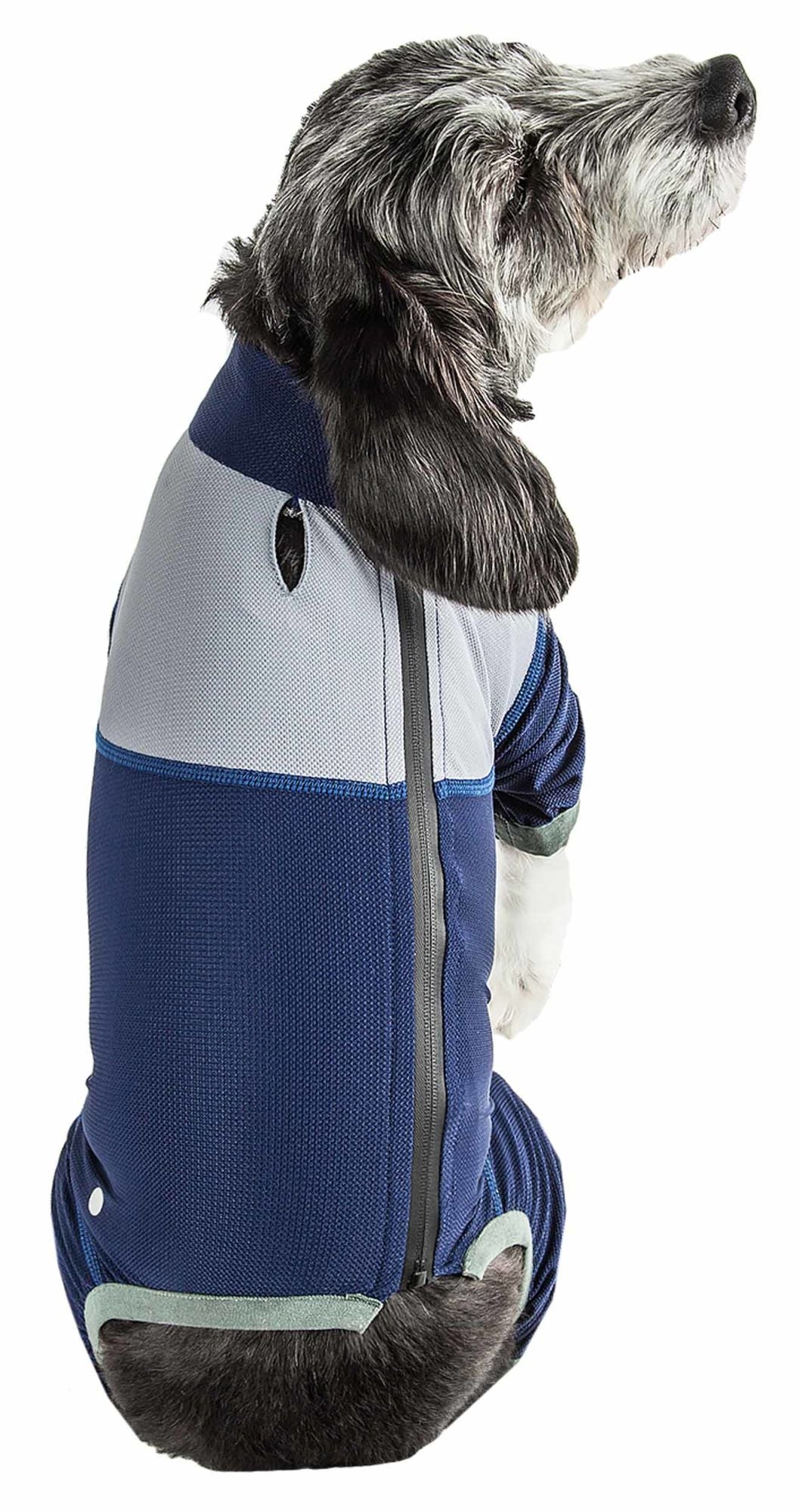 Waterproof dog clothing: Jackets, jackets with hoodies, sweaters, Harnes and coats. Raee Industries