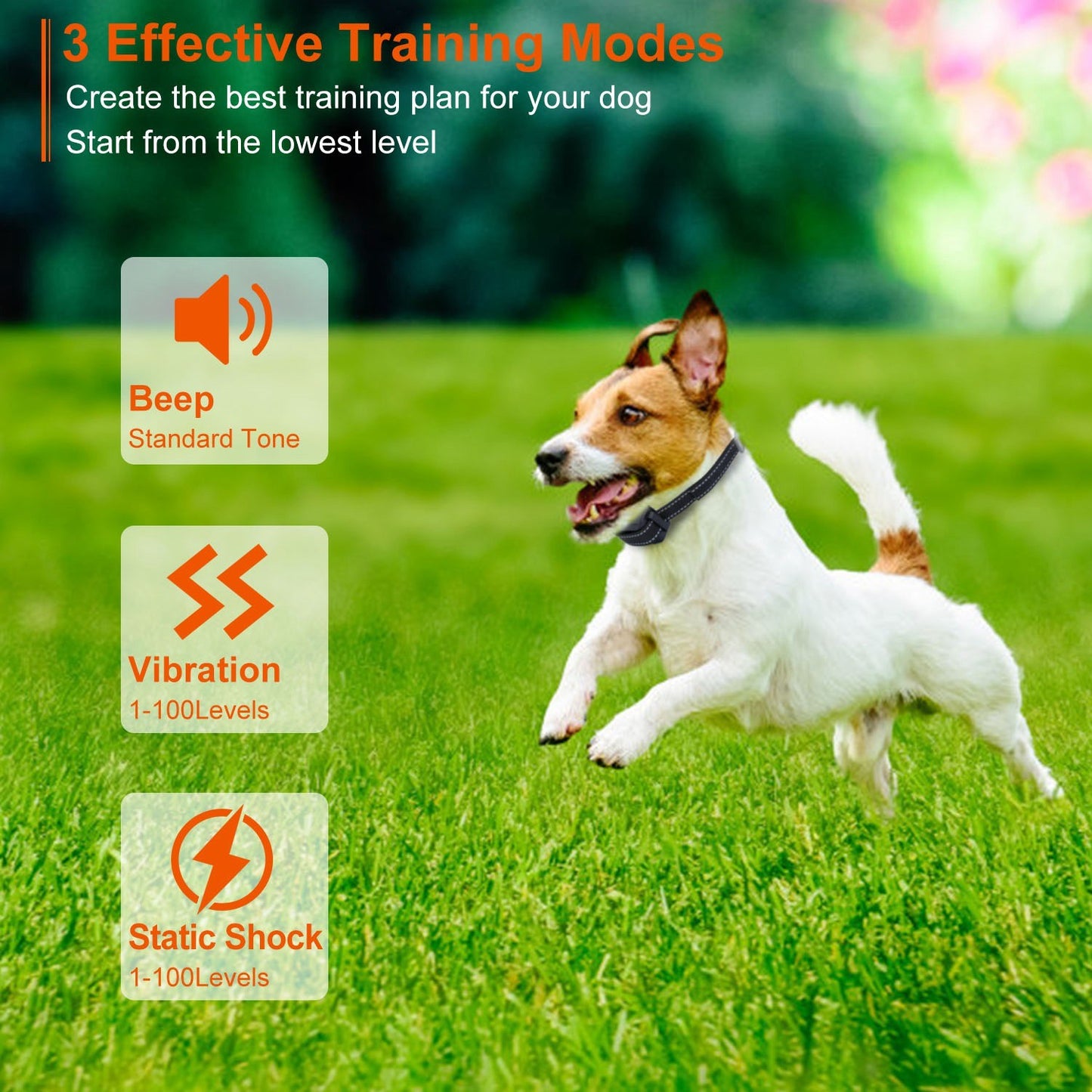 Heavy duty, electric Dog Training Collar Rechargeable Receiver Beep Shock for small Medium Large Dogs, dog leash. Raee Industries