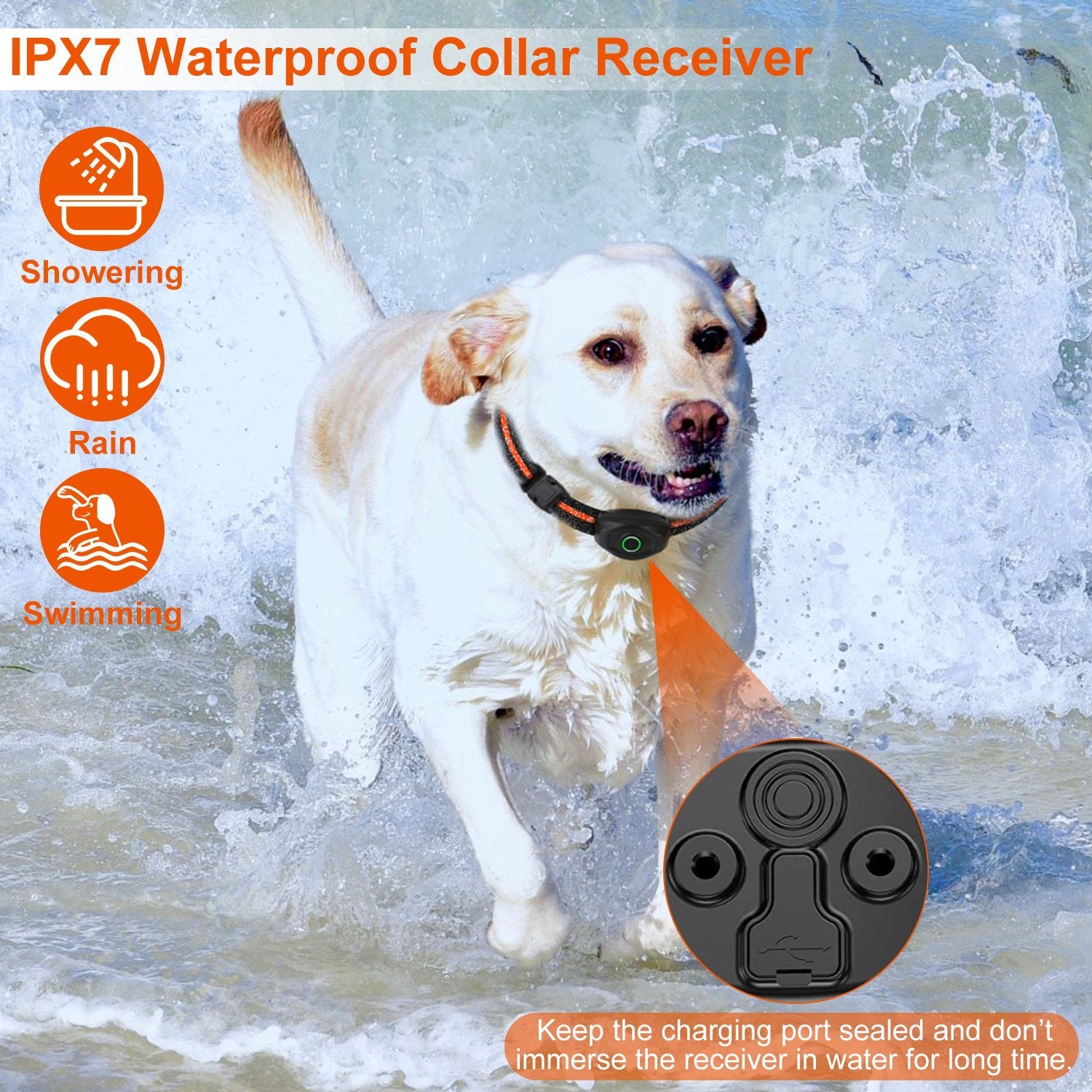 Waterproof Dog Trainer and Leash. Raee-Industries.