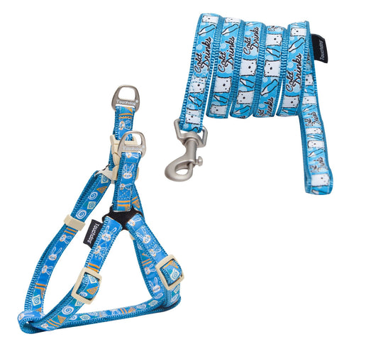 Pet Harness And Leash Set For small and large dogs & Cats; Adjustable No Pull Service Dog Vest Harness For Walking. Raee Industries