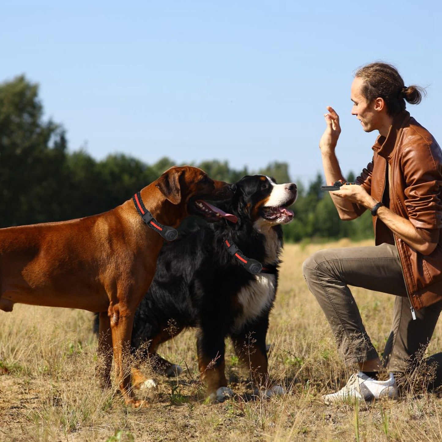 Waterproof Dog Trainer and Leash. Raee-Industries.