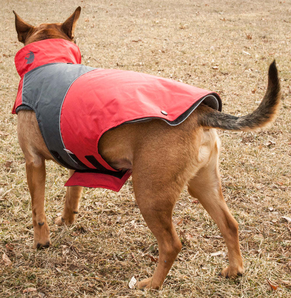 Touchdog Lightening-Shield Waterproof 2-in-1 Convertible Dog Jacket w/ Blackshark technology