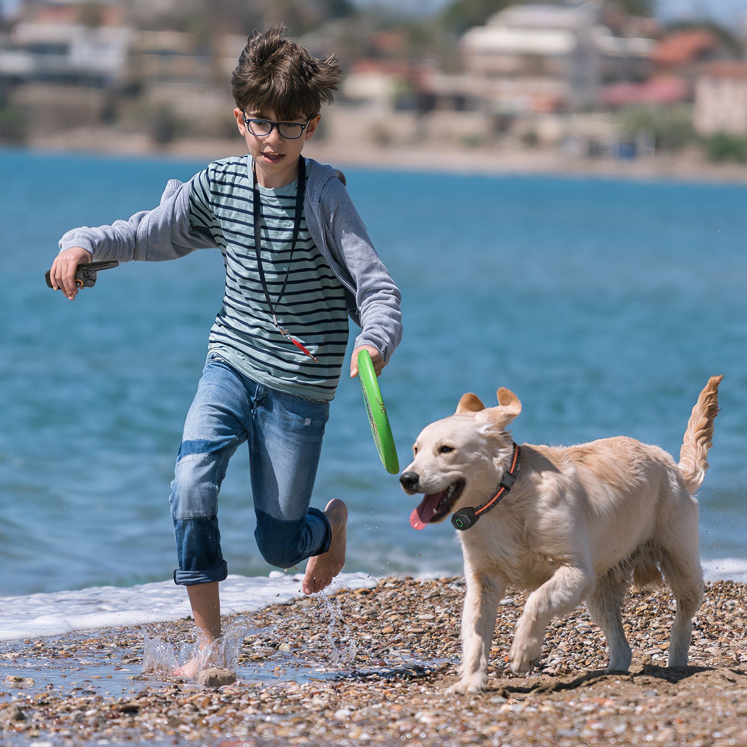 Waterproof Dog Trainer and Leash. Raee-Industries.