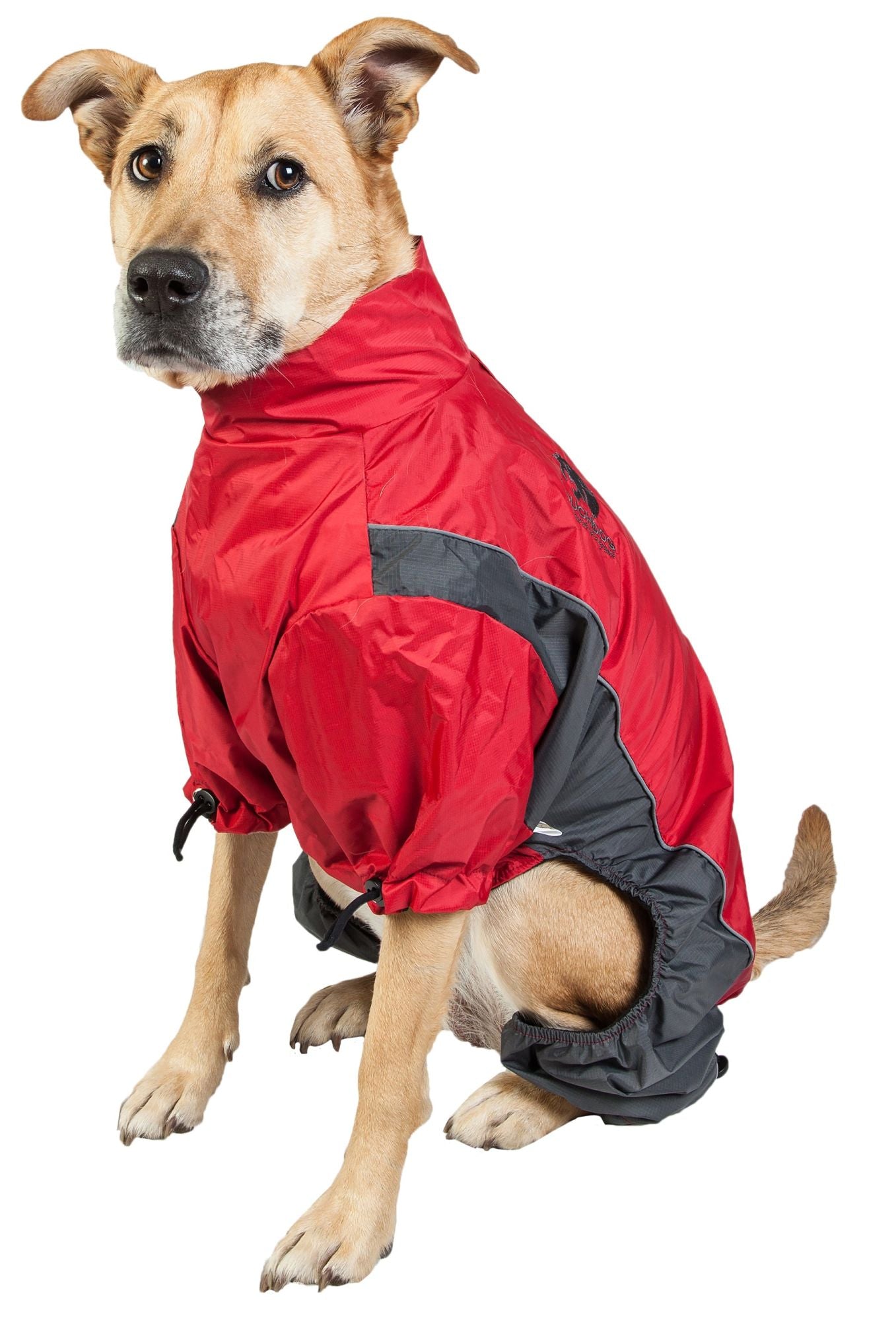 Waterproof dog clothing: Jackets, jackets with hoodies, sweaters, Harnes and coats. Raee Industries