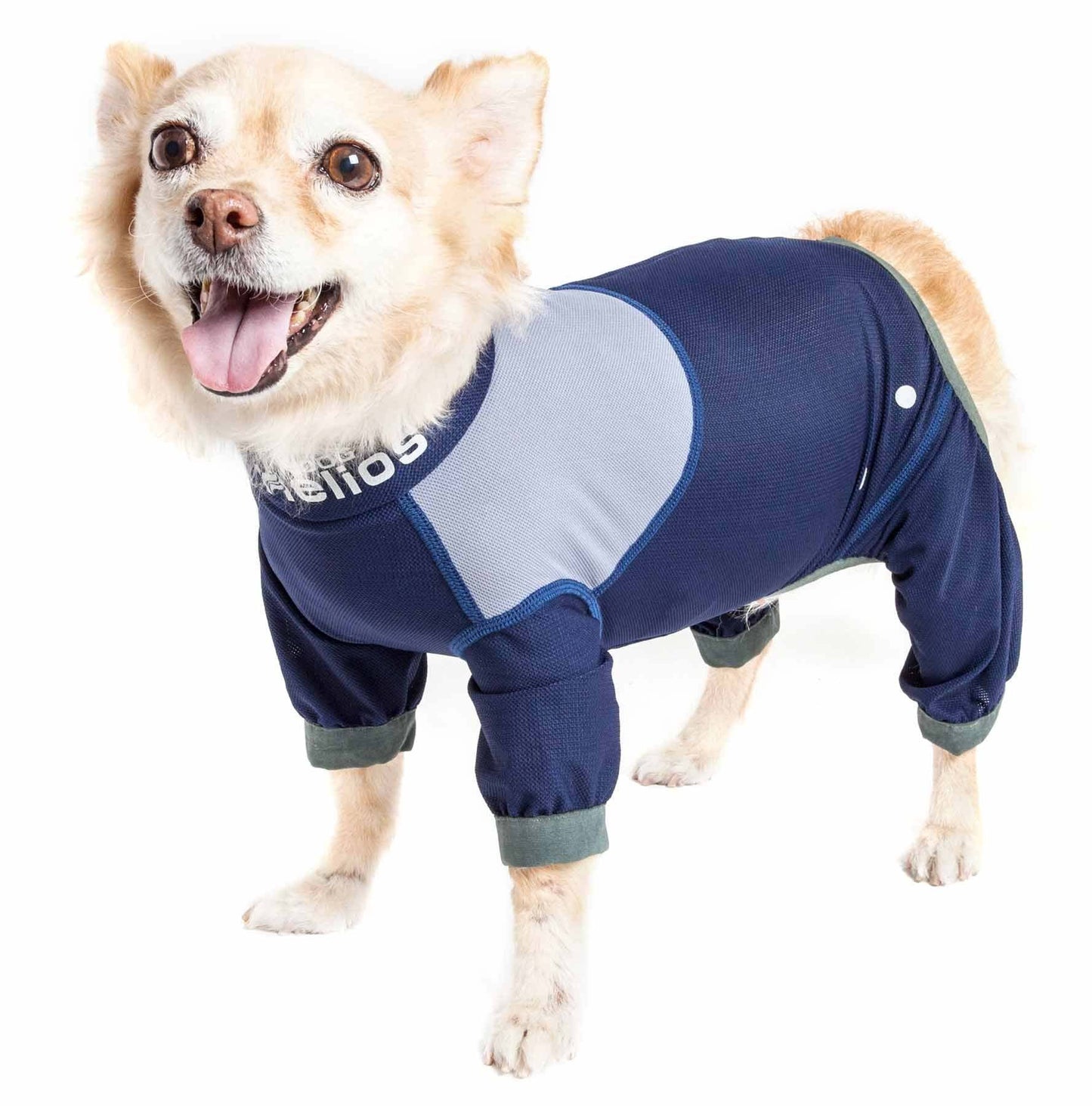 Waterproof dog clothing: Jackets, jackets with hoodies, sweaters, Harnes and coats. Raee Industries