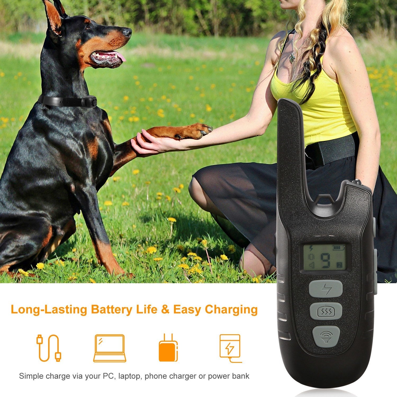 Waterproof Dog Trainer and Leash. Raee-Industries.