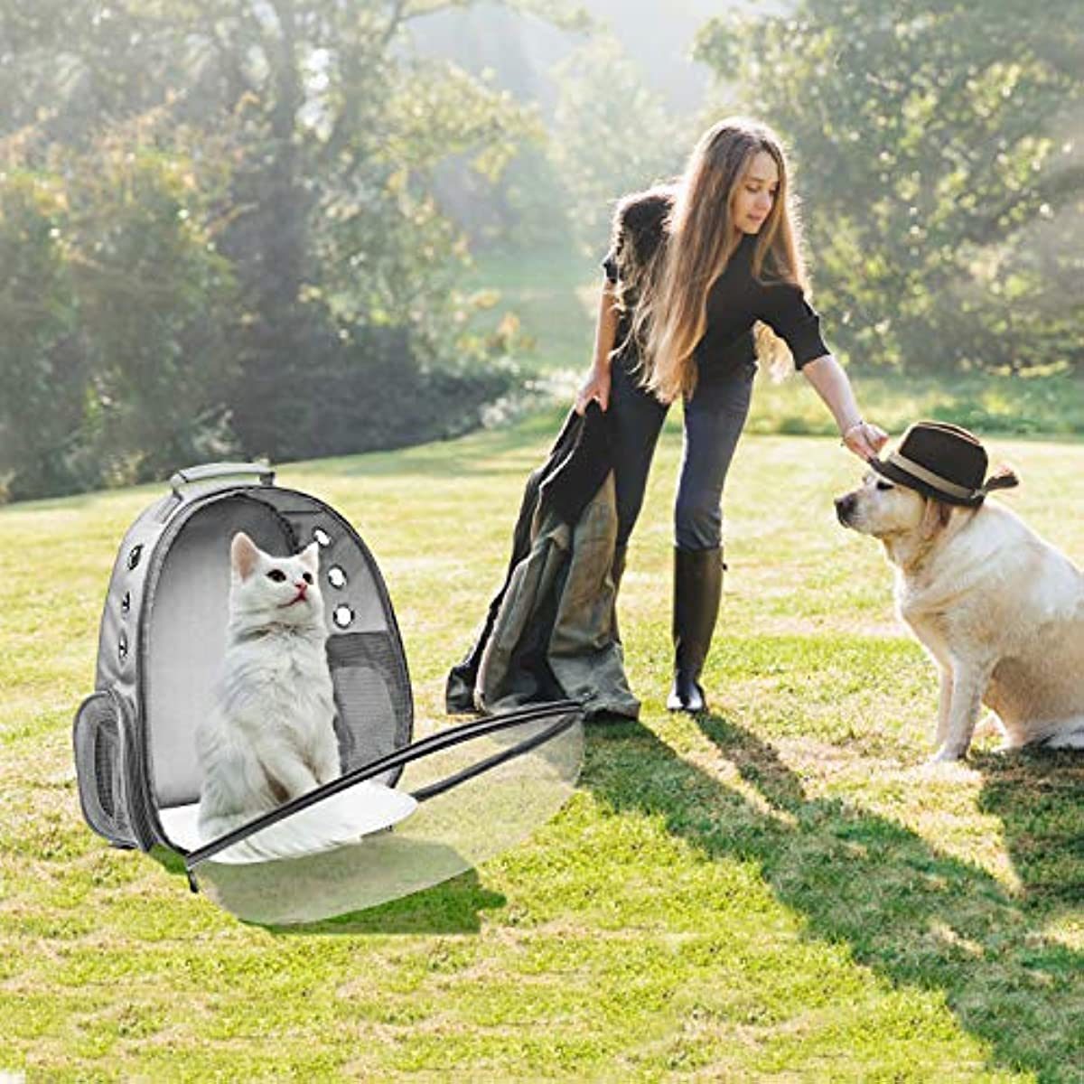 Cat Backpack Carrier Bubble Bag; Small Dog Backpack Carrier for Small Dogs; Space Capsule Pet Carrier Dog Hiking Backpack Airline Approved Travel Carrier