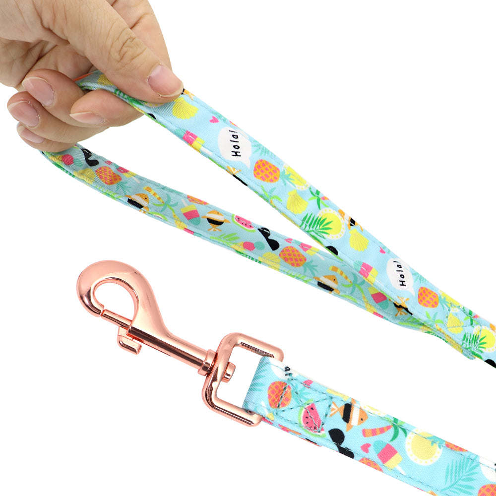 Custom Printed Dog Collar Leash Set Personalized Pet Dog Collar