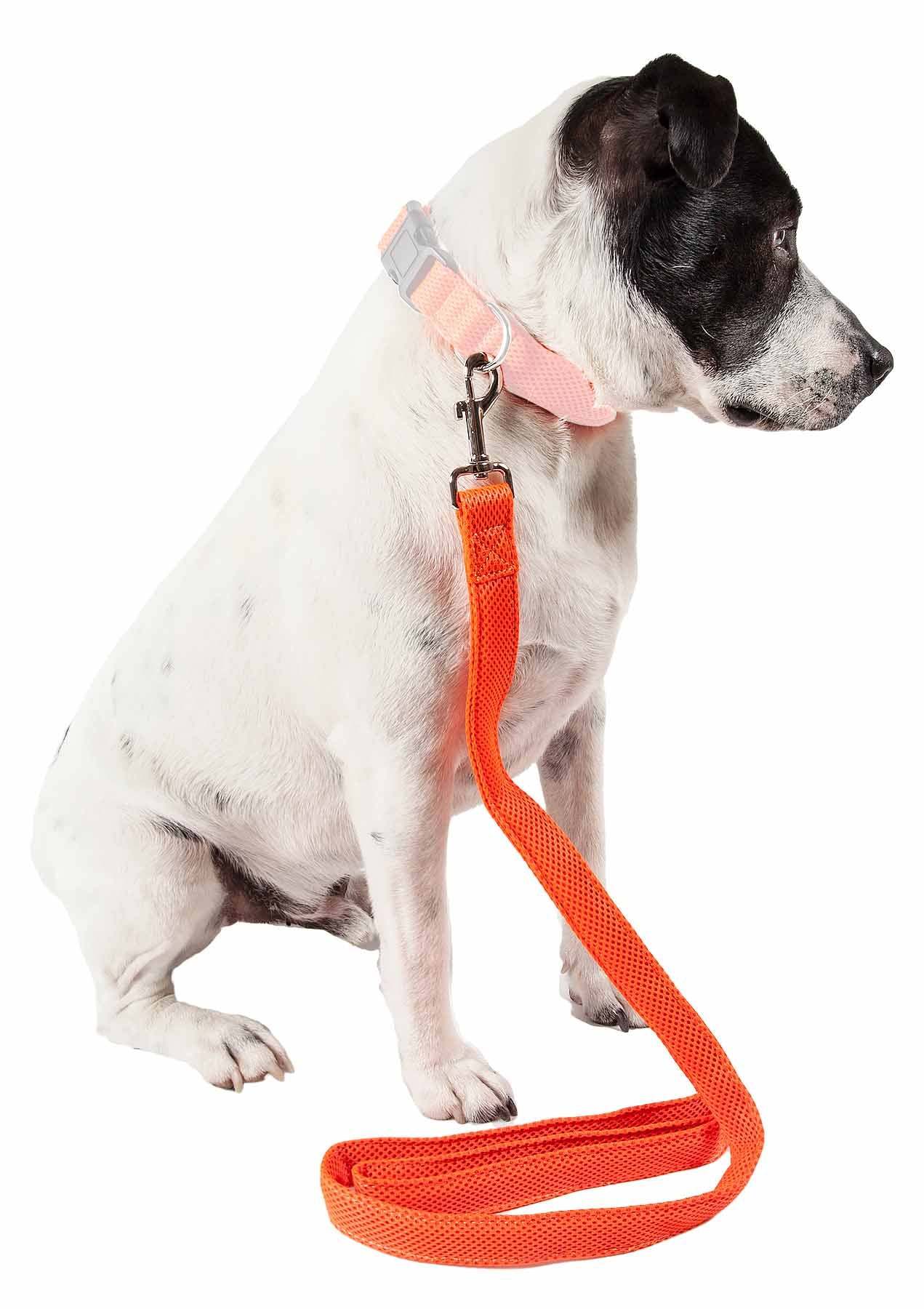 Pet Life 'Aero Mesh' Dual Sided Comfortable And Breathable Adjustable Mesh Dog Leash