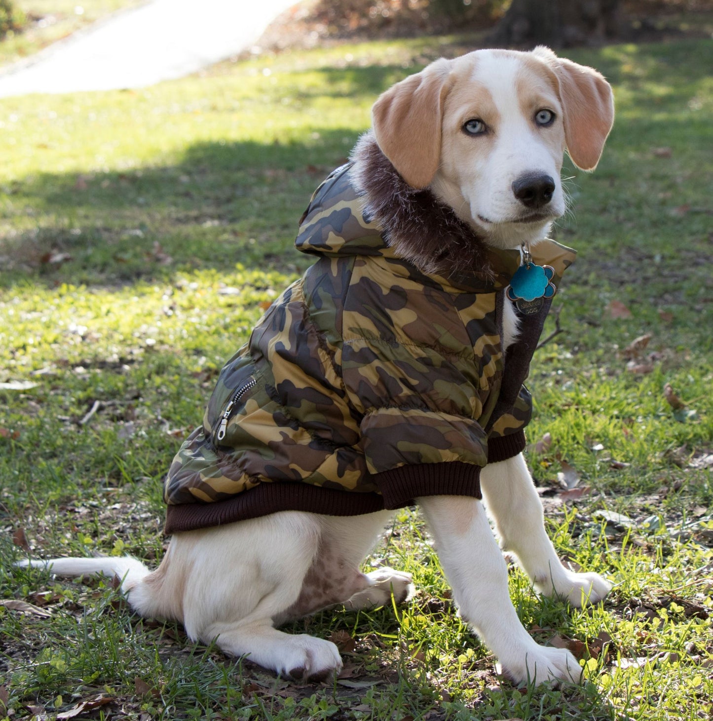 Metallic Fashion Pet Parka Coat