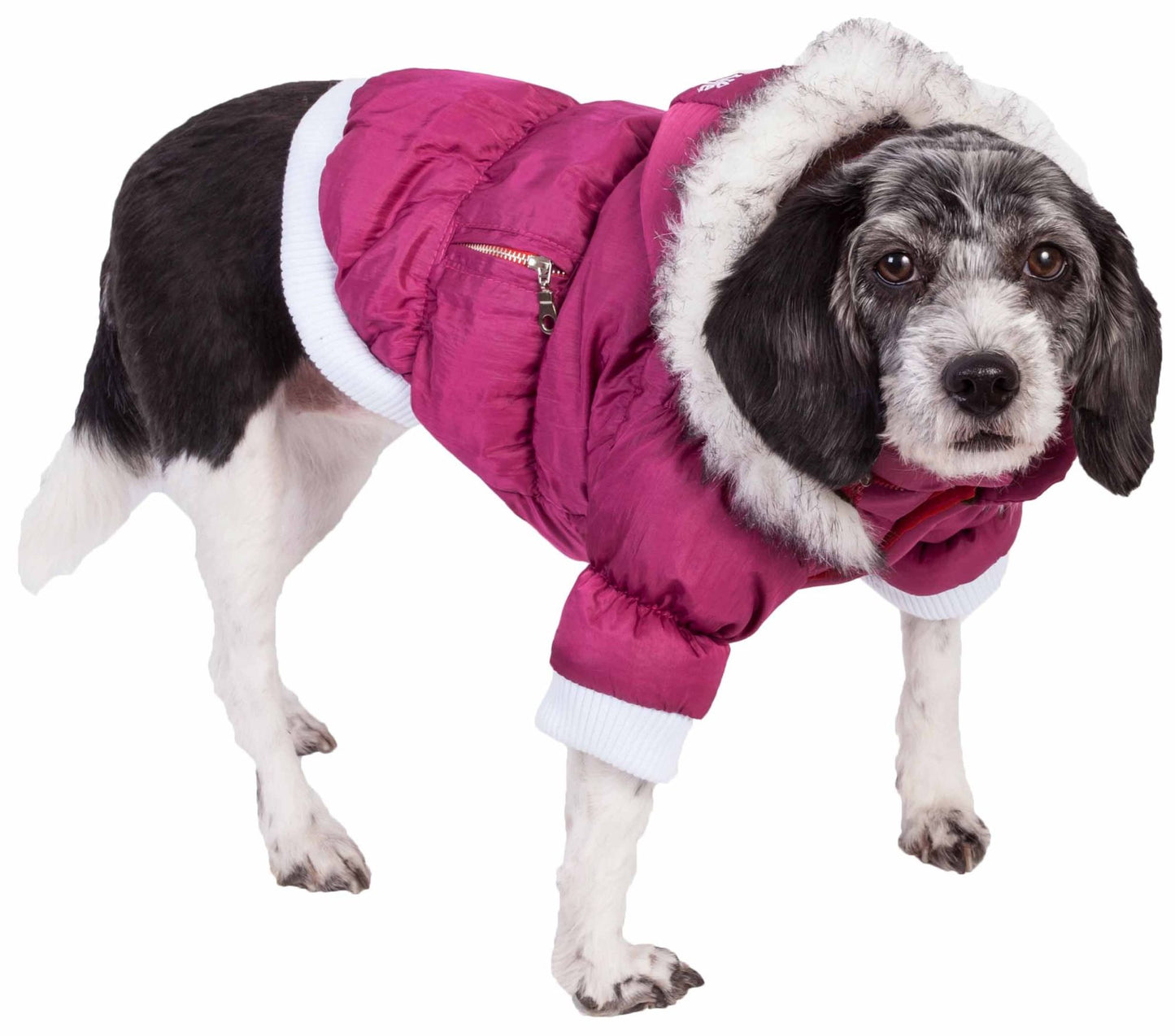 Waterproof dog clothing: Jackets, jackets with hoodies, sweaters, Harnes and coats. Raee Industries