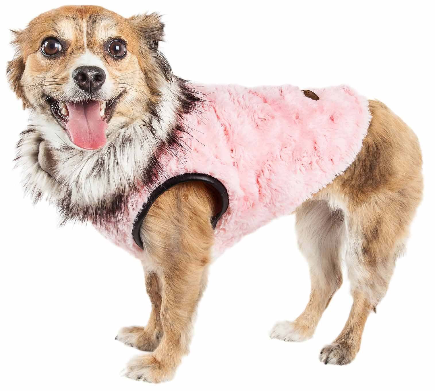 Waterproof dog clothing: Jackets, jackets with hoodies, sweaters, Harnes and coats. Raee Industries