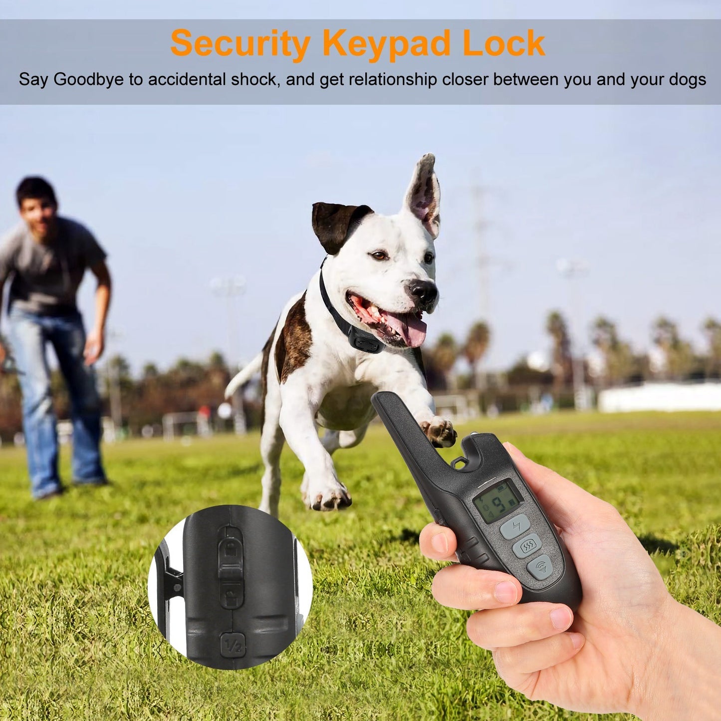 Waterproof Dog Trainer and Leash. Raee-Industries.