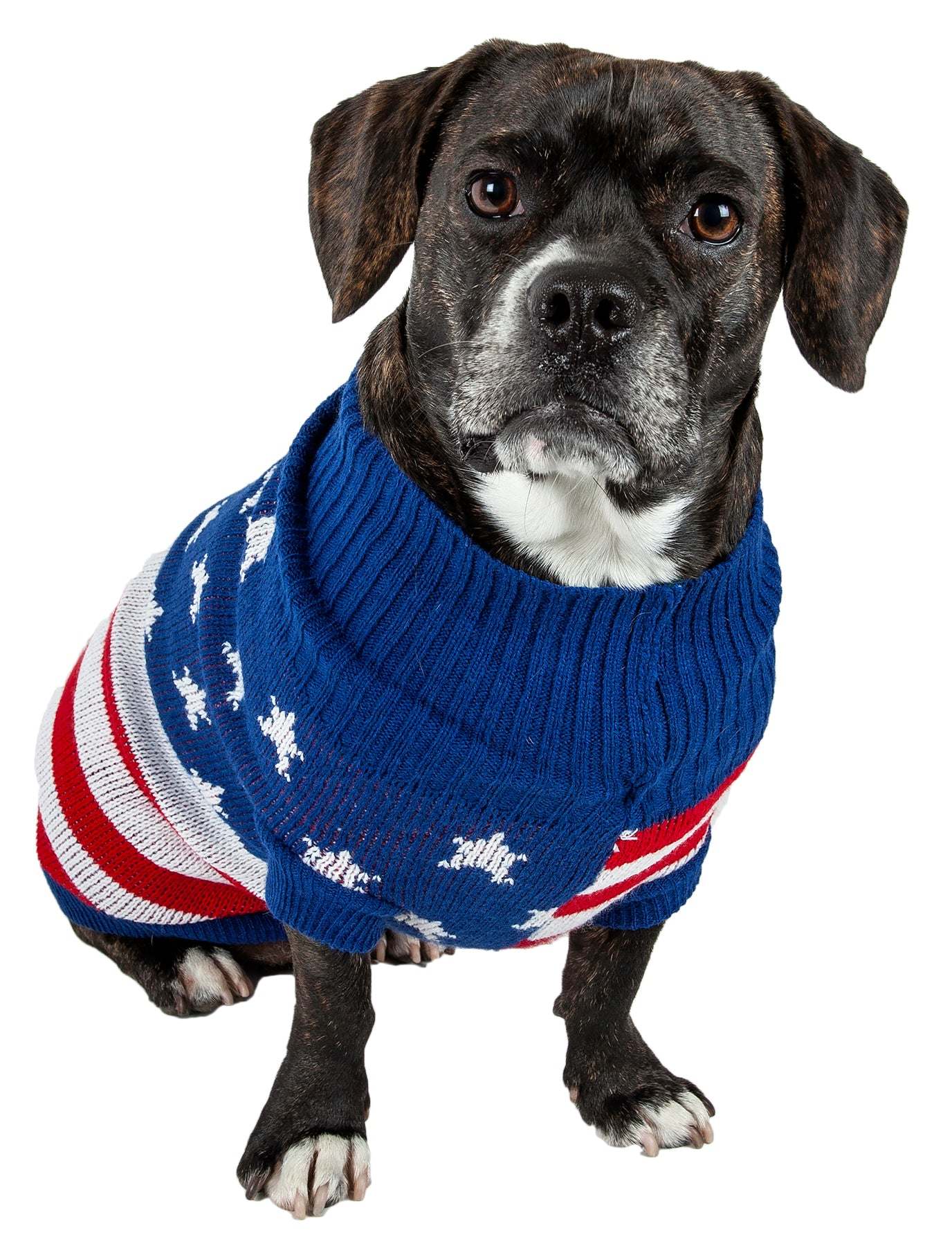 Waterproof dog clothing: Jackets, jackets with hoodies, sweaters, Harnes and coats. Raee Industries