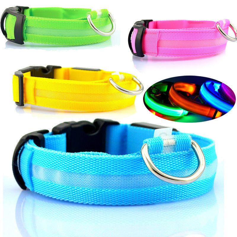 Waterproof Dog Trainer and Leash. Raee-Industries.