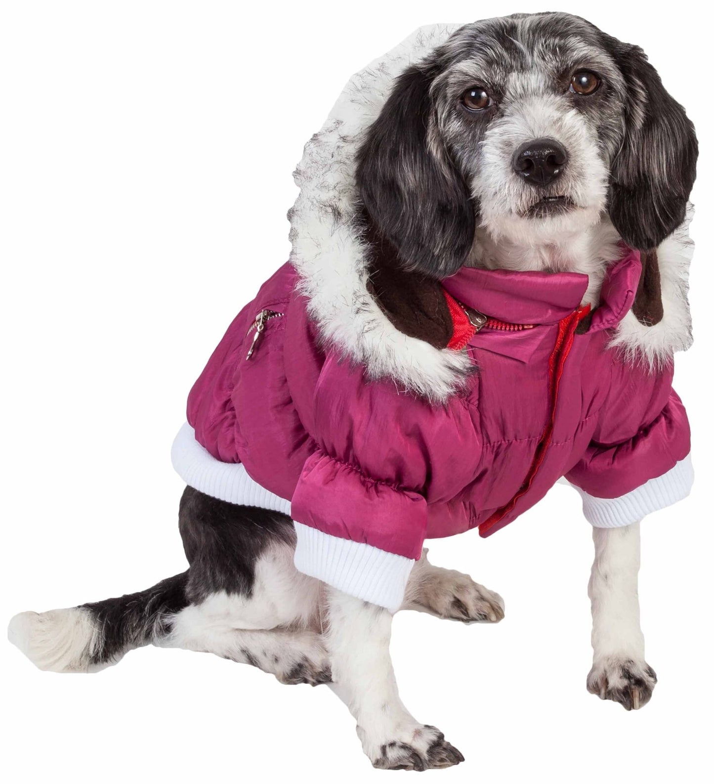 Waterproof dog clothing: Jackets, jackets with hoodies, sweaters, Harnes and coats. Raee Industries