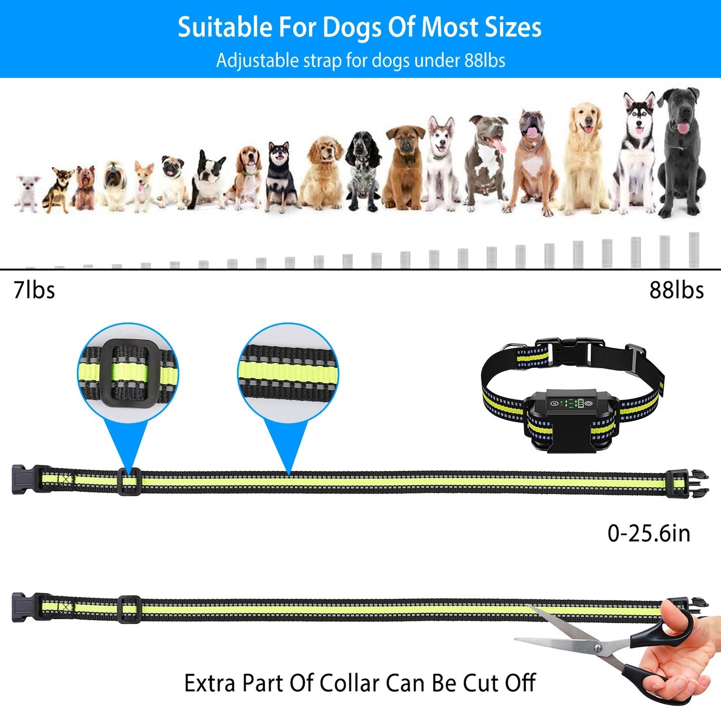 Waterproof Dog Trainer and Leash. Raee-Industries.