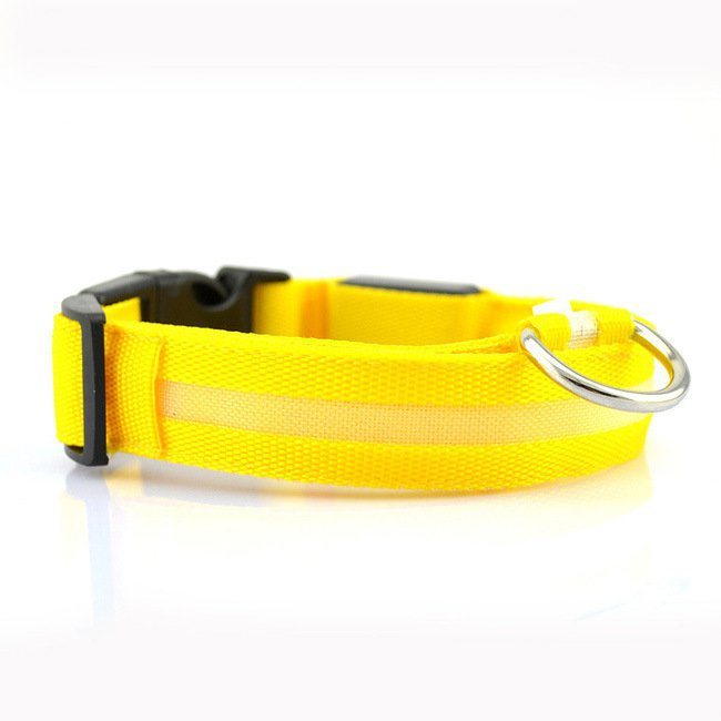 Waterproof Dog Trainer and Leash. Raee-Industries.