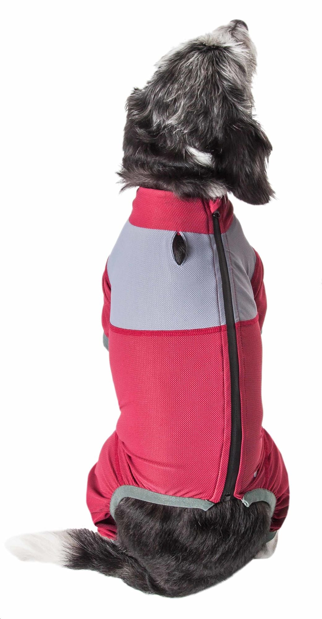 Dog Helios 'Tail Runner' Lightweight 4-Way-Stretch Breathable Full Bodied Performance Dog Track Suit