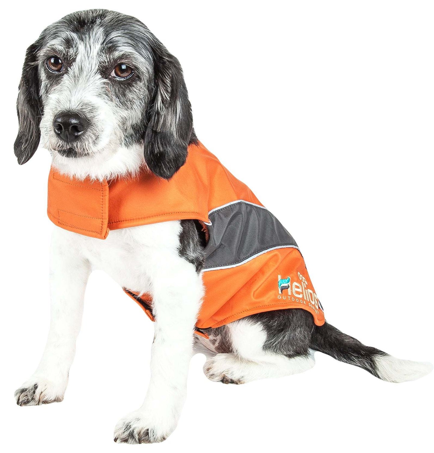 Dog clothing: Jackets, sweaters, Harnes. Raee Industries