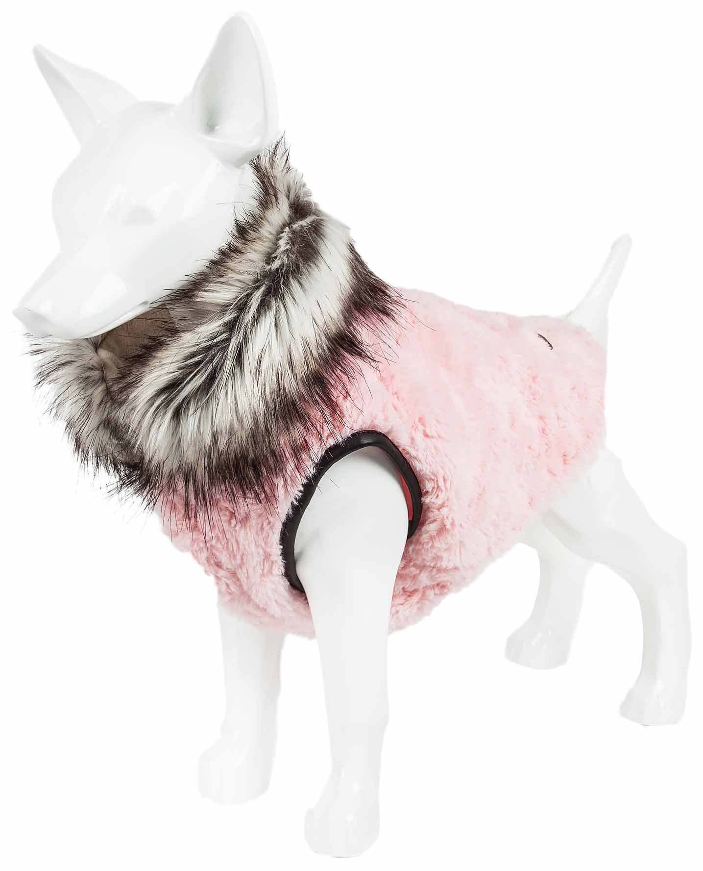 Waterproof dog clothing: Jackets, jackets with hoodies, sweaters, Harnes and coats. Raee Industries