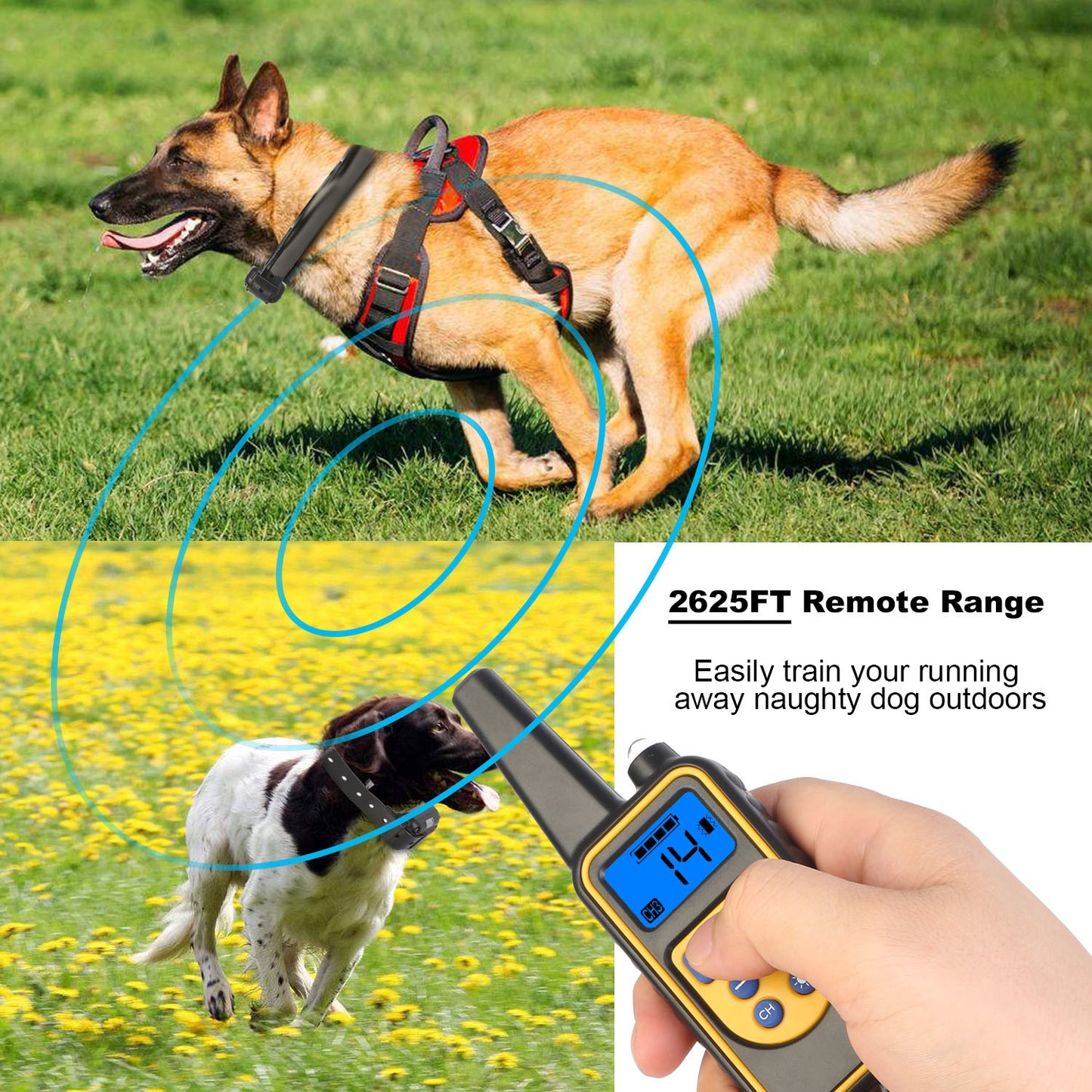 Heavy duty, electric Dog Training Collar Rechargeable Receiver Beep Shock for small Medium Large Dogs, dog leash. Raee Industries