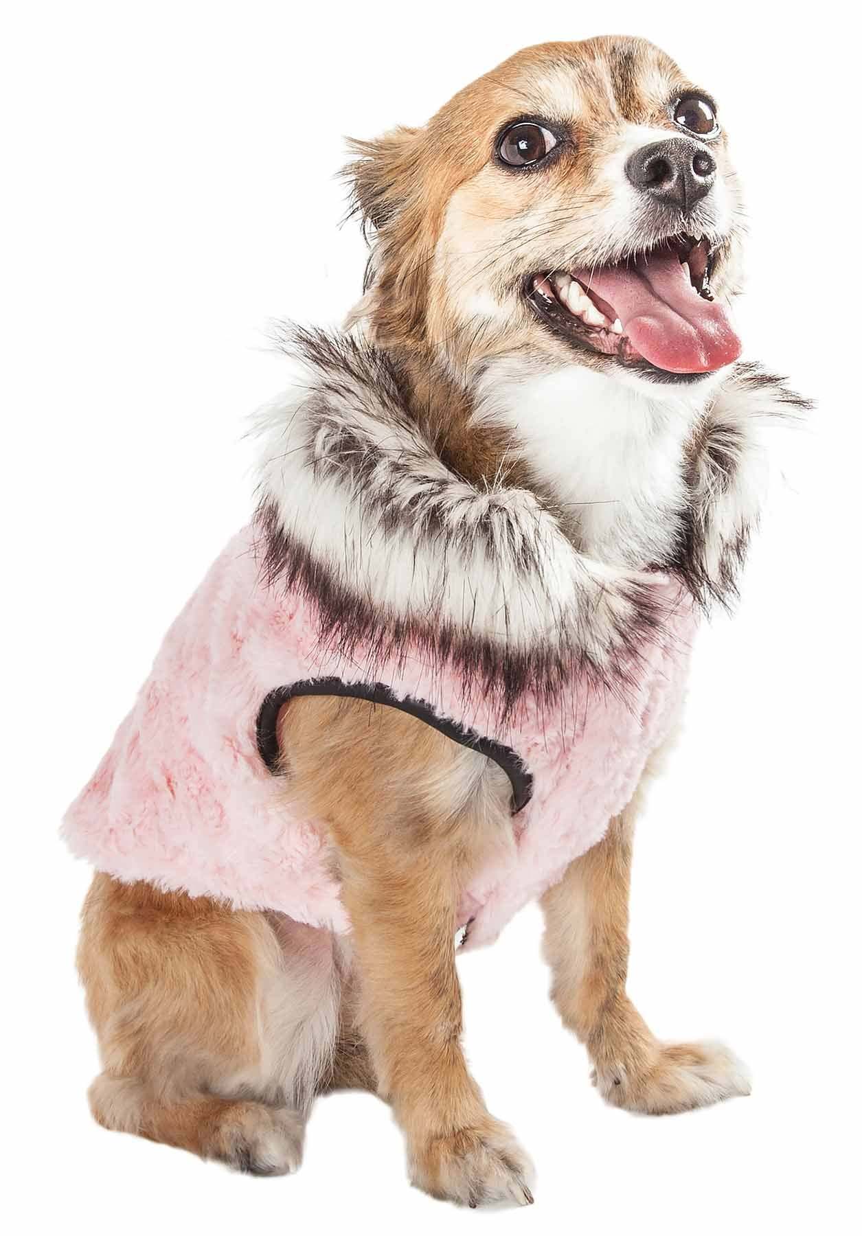 Waterproof dog clothing: Jackets, jackets with hoodies, sweaters, Harnes and coats. Raee Industries