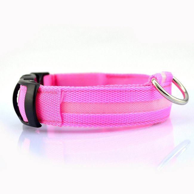 Waterproof Dog Trainer and Leash. Raee-Industries.