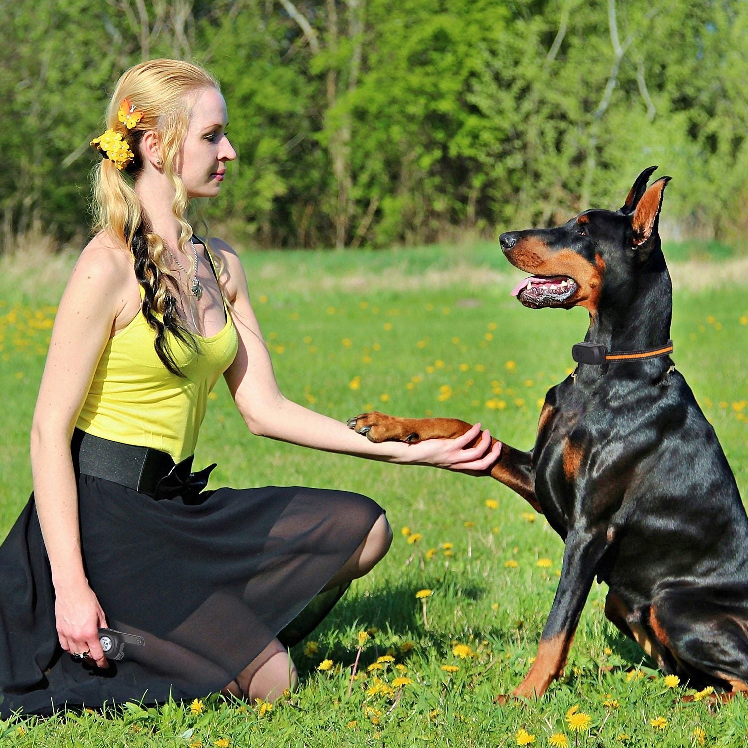 Waterproof Dog Trainer. Raee-Industries.