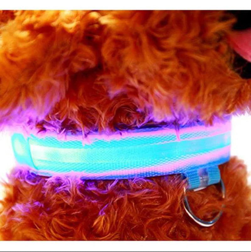 Pet Dog Nylon Safety Collar LED Light Puppy Necklace Dog Accessories