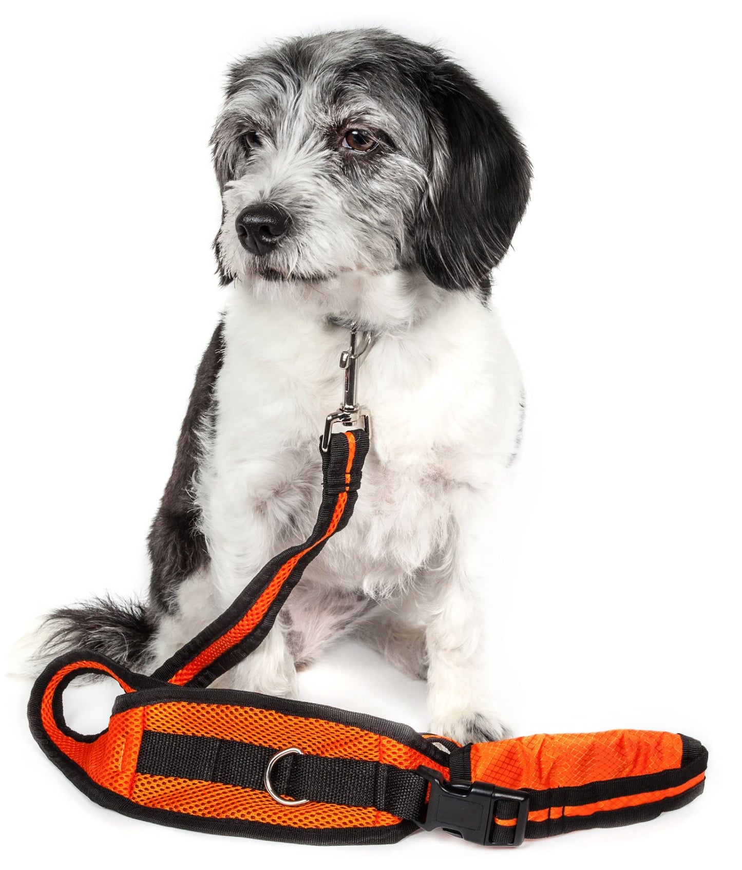 Pet Harness And Leash Set For small and large dogs & Cats; Adjustable No Pull Service Dog Vest Harness For Walking. Raee Industries